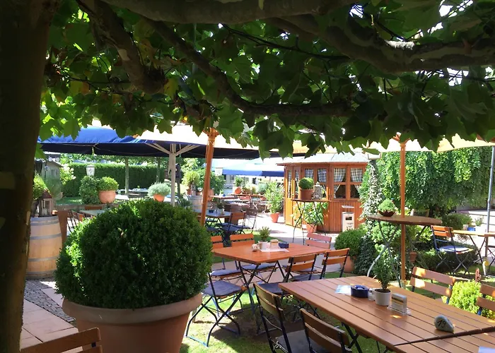 Sonnen Hotel Trierweiler