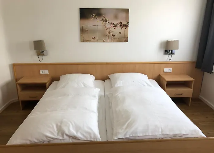 Sonnen Hotel Trierweiler